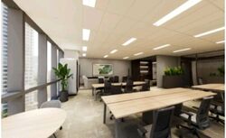 Mapletree Anson (D2), Office #530841721